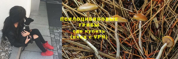 скорость Алексин