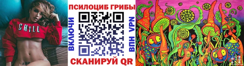 Галлюциногенные грибы Psilocybine cubensis  Цимлянск 